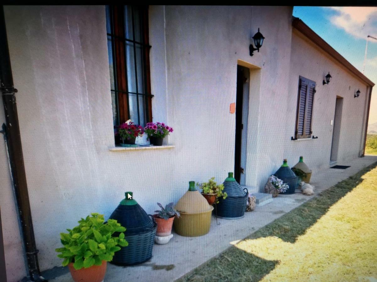 Su Cuile Historical Country House With Barbecue Martis Zewnętrze zdjęcie